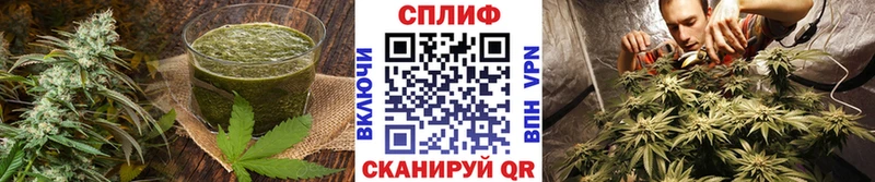 Canna-Cookies конопля где купить наркоту Михайловка