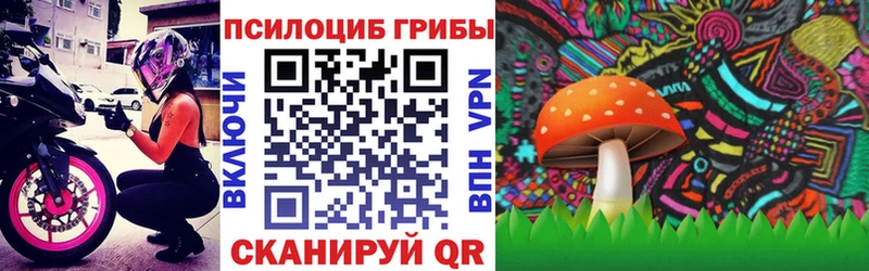 Псилоцибиновые грибы ЛСД  Михайловка 